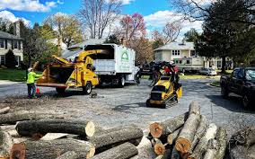 Best Tree Risk Assessment  in Moreno Valley, CA